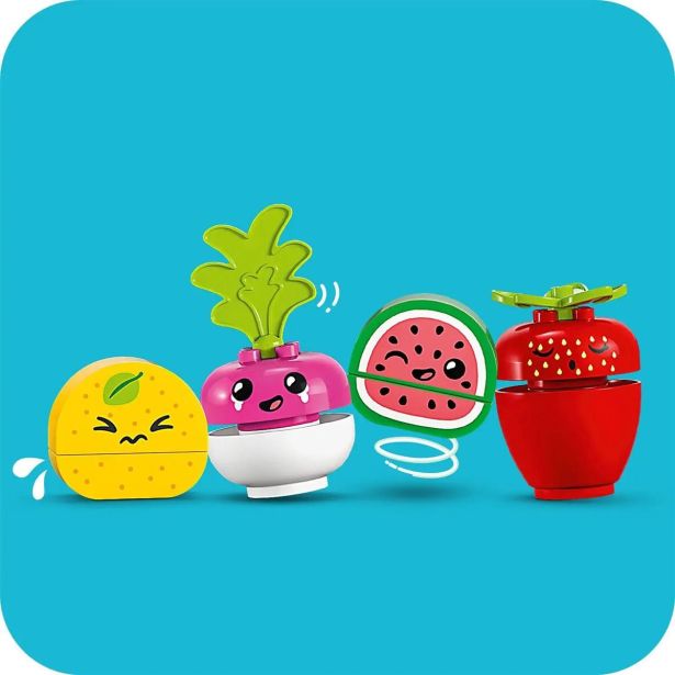 KOCKE LEGO DUPLO BIO-TRŽNICA 10983