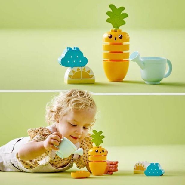 KOCKE LEGO 10981 KORENČEK RASTE