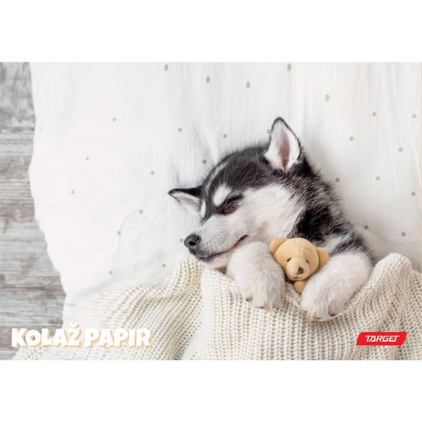 KOLAŽ PAPIR A4 20 LISTOV 100 G ANIMAL BABY 26066