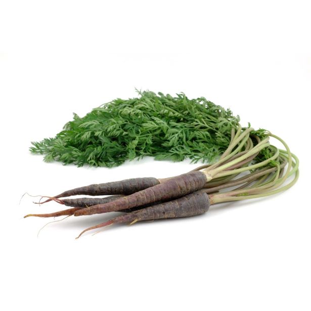 KORENOVKE L'ORTO FRUTTIFERO KORENČEK 9/1 DEEP PURPLE F1 KULTIPAK