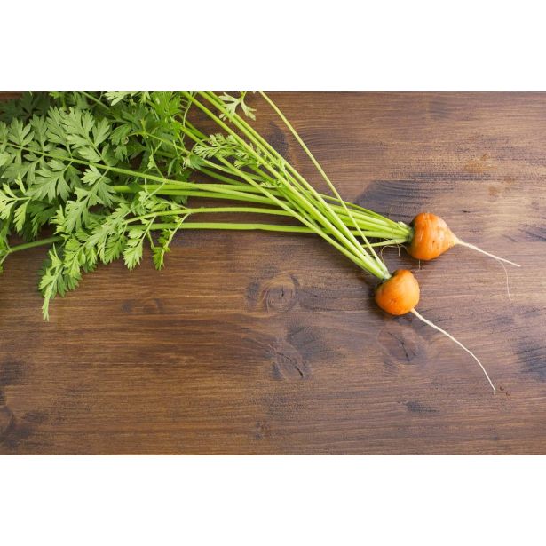 KORENOVKE L'ORTO FRUTTIFERO KORENČEK 9/1 PARIS MARKET F1 KULTIPAK