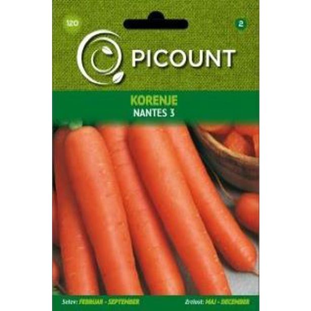 KORENOVKA VILMORIN KORENJE NANTES 3