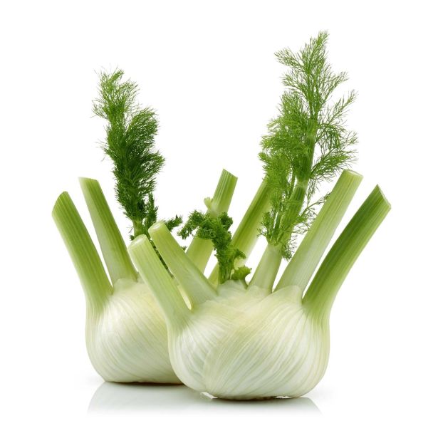 ZELENJAVNA SADIKA L'ORTO FRUTTIFERO KOROMAČ 8/1 TARQUINIO F1 KULTIPAK