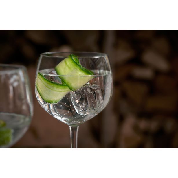 KOZAREC ZA DRUGE PIJAČE ROYAL LEERDAM 650 ML GIN TONIC 4/1