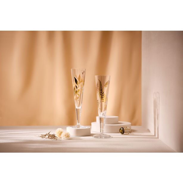 KOZAREC ZA PENINO 250 ML GOLDNACHT 2/1 1071048
