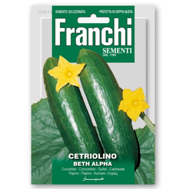 PLODOVKA FRANCHI SEMENTI KUMARA BETH ALPHA