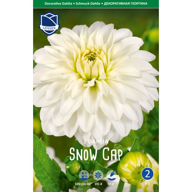 L DALIJA SNOW CAP