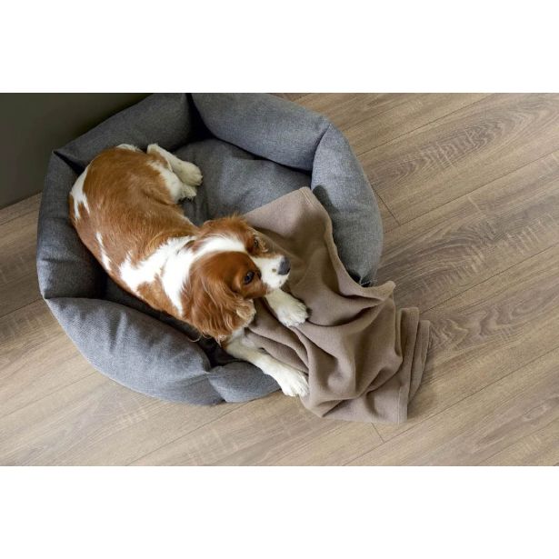 LAMINAT, 10MM, 32. RAZRED EGGER HOME CLASSIC TOSCOLANO HRAST TOBACCO EHL077