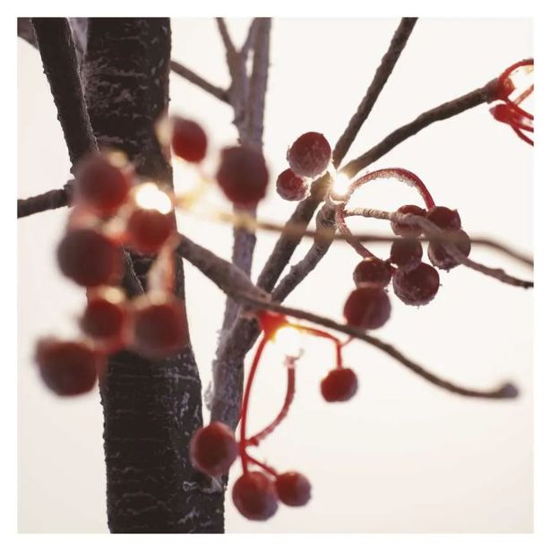 LED SVETLEČE DREVO Z JAGODAMI, 120 CM, ZUNANJE IN NOTRANJE, TOPLA BELA, ČASOVNIK