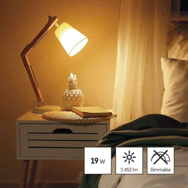 LED ŽARNICA E27 EMOS CLS A67 19W WW