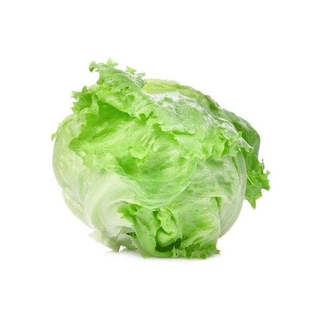 LISTNA ZELENJAVA L'ORTO FRUTTIFERO LEDENKA TARDIVA 8/1 BAUREGARD KULTIPAK