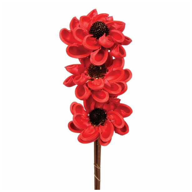 LESENO CVETJE SESTAVLJENO CVETJE RDEČA