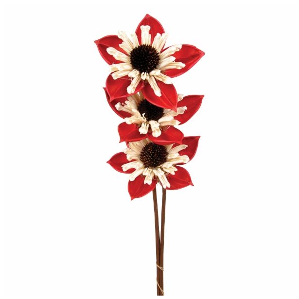 LESENO CVETJE SESTAVLJENO CVETJE RDEČE