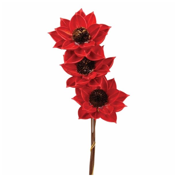 LESENO CVETJE SESTAVLJENO CVETJE RDEČE