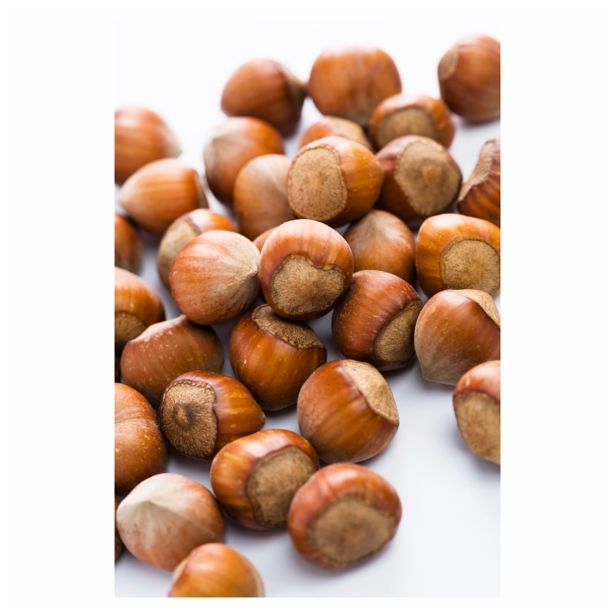 LESKA CEPLJENA L11X11