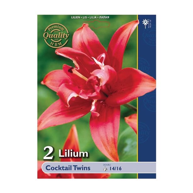 LILIJA HOLLAND BULB MARKET DVOJNA COCKTAIL TWINS