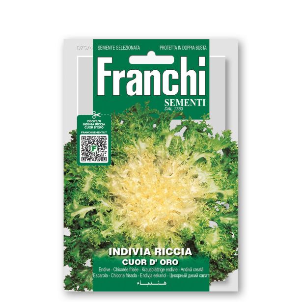 LISTNA ZELENJAVA FRANCHI SEMENTI ENDIVIJA CUOR D'ORO.