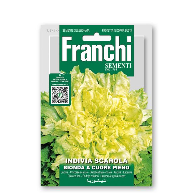 LISTNA ZELENJAVA FRANCHI SEMENTI ENDIVIJA ESKARIOL RUMENA