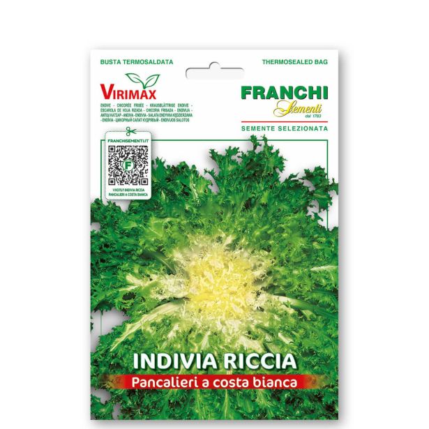 LISTNA ZELENJAVA FRANCHI SEMENTI ENDIVIJA RICCI.PANCAL. VXO 75/1