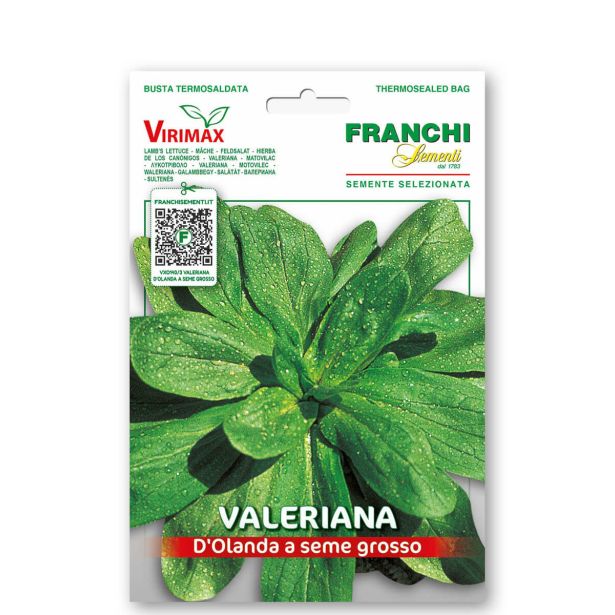 LISTNA ZELENJAVA FRANCHI SEMENTI MOTOVILEC HOLANDSKI VXO 140/3