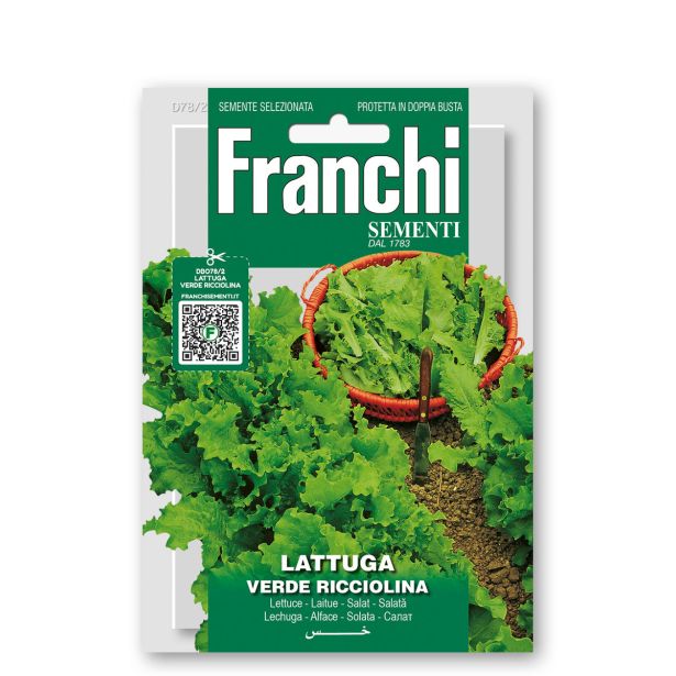 LISTNA ZELENJAVA FRANCHI SEMENTI SOLATA VERDE RICCIOLINA