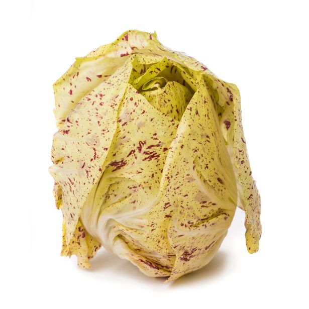 LISTNA ZELENJAVA L'ORTO FRUTTIFERO PISAN RADIČ 8/1 CASTELFRANCO KUBET