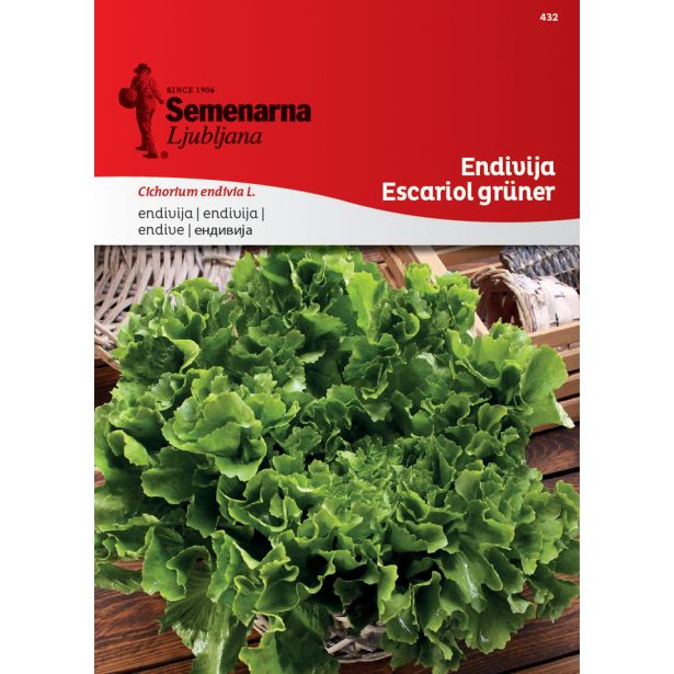 LISTNA ZELENJAVA SEMENARNA ENDIVIJA ESCARIOL GRUNER 432