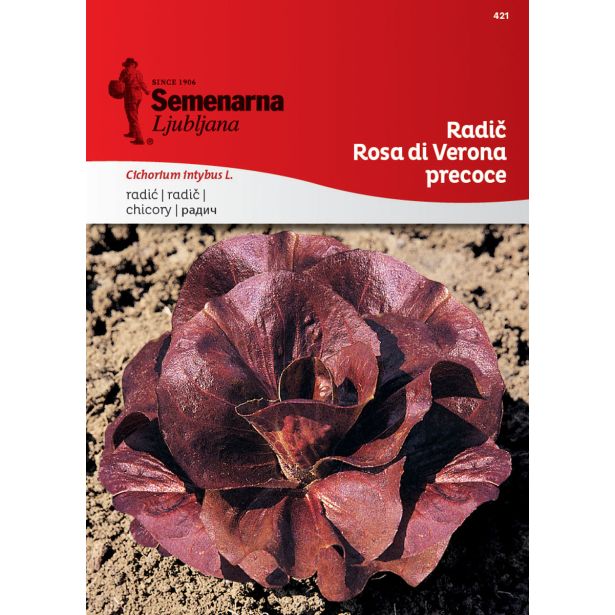 LISTNA ZELENJAVA SEMENARNA RADIČ ROSSA DI VERONA 421 PRECOCE
