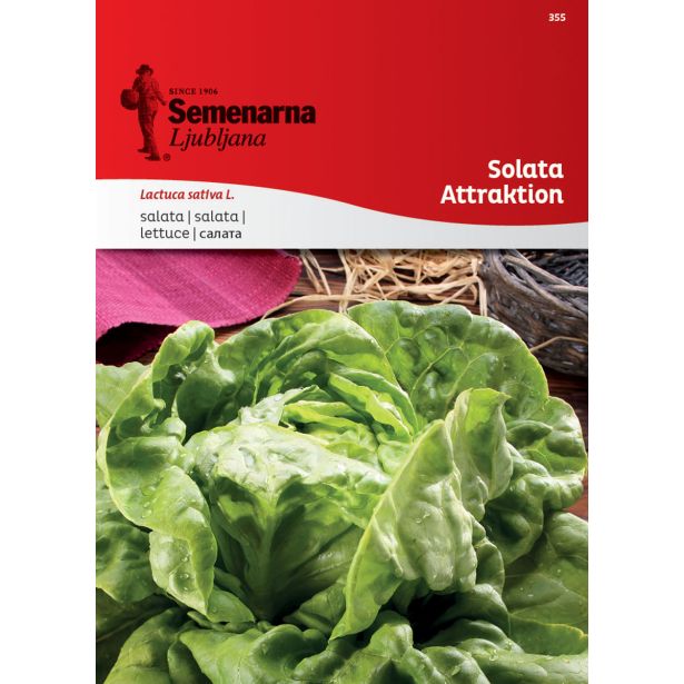 LISTNA ZELENJAVA SEMENARNA SOLATA ATTRAKTION 355