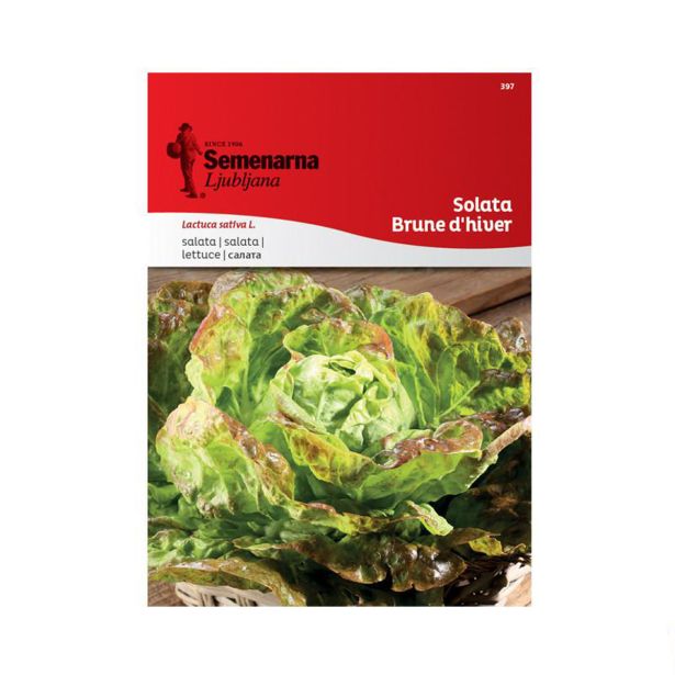 LISTNA ZELENJAVA SEMENARNA SOLATA BRUNE D'HIVER 397