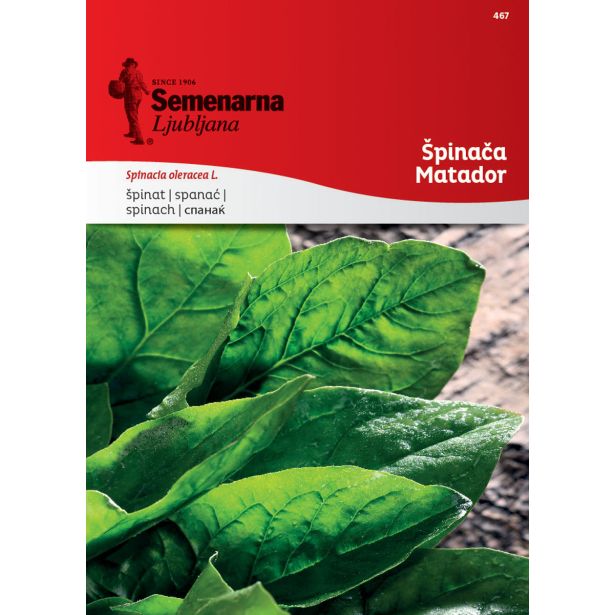 LISTNA ZELENJAVA SEMENARNA ŠPINAČA MATADOR 467