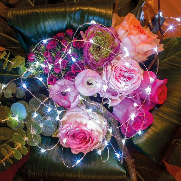 LUČKE LUMINEO MICRO LED HLADNO BELE 295 CM