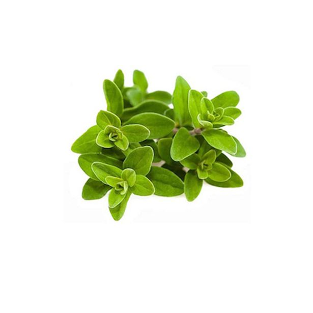 MAJARON L10 CM
