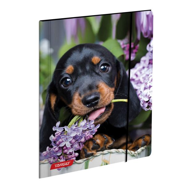 MAPE TARGET Z ELASTIKO A4 ANIMAL BABY 27472