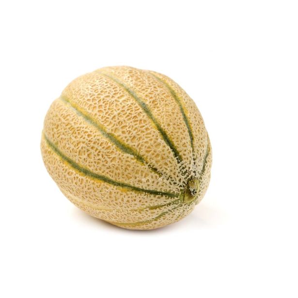 PLODOVKE L'ORTO FRUTTIFERO CEPLJENA MELONA 1/1 CALIBRO F1 L14