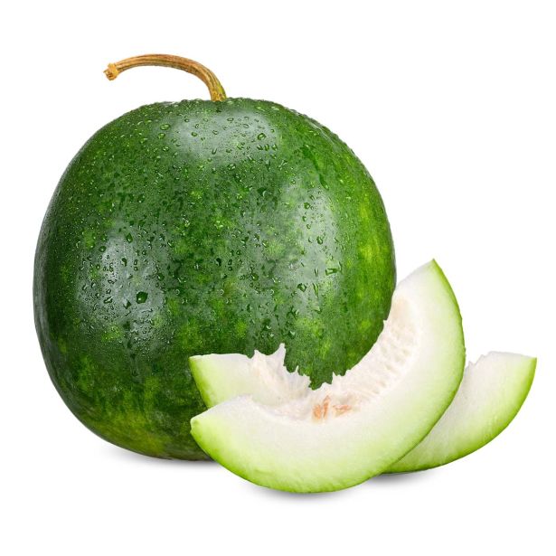 PLODOVKE L'ORTO FRUTTIFERO MELONA ZELENA 1/1 INV. VERDONE L10