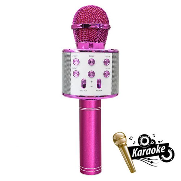 MIKROFON Z ZVOČNIKOM FOREVER BMS-300 ROZA