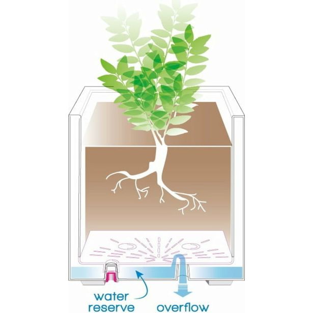 PE ZUNANJI LONEC DEROMA MILLENIUM 79X30,VIŠ 29 CM PEŠČEN
