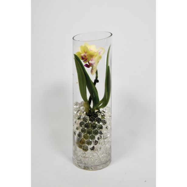 ORHIDEJA MINI MIX L6