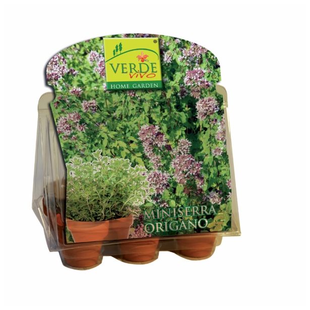 VRTNARSKI PRIPOMOČEK VERDE VIVO MINI RASTLINJAK ZELIŠČA