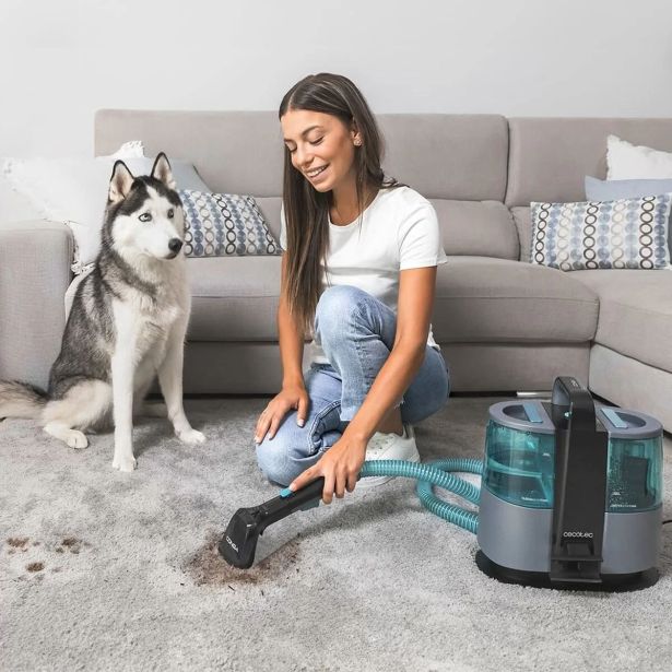 GLOBINSKI SESALNIK CECOTEC CONGA 4000 CARPET&SPOT CLEAN ZA OBLAZINJENO