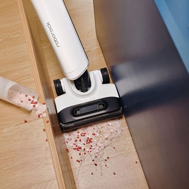 MOKRO-SUHI SESALNIK ROBOROCK FLEXI PRO