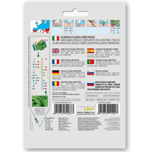 LISTNA ZELENJAVA FRANCHI SEMENTI MOTOVILEC HOLANDSKI