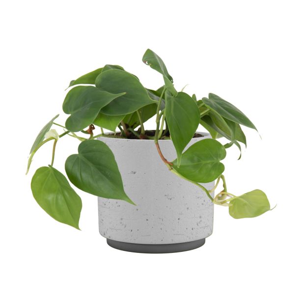 KERAMIČNI NOTRANJI LONEC NÉRIA 22 CM SIV