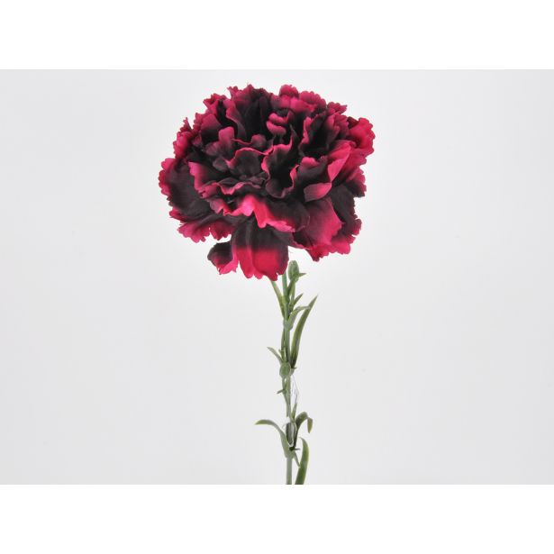 NAGELJ VEJICA 60CM, VIJOLA