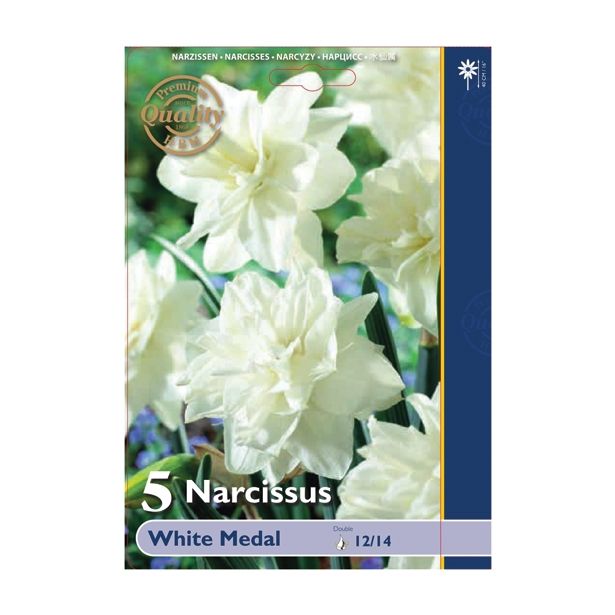POMLADI CVETOČA ČEBULICA HOLLAND BULB MARKET NARCISA DVOJNA WHITE MEDAL 12/14 5 KOS