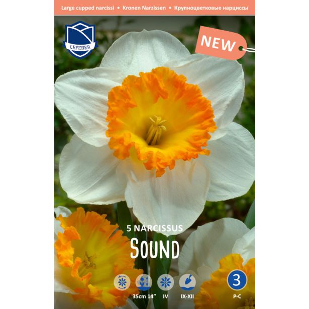 NARCISE SOUND