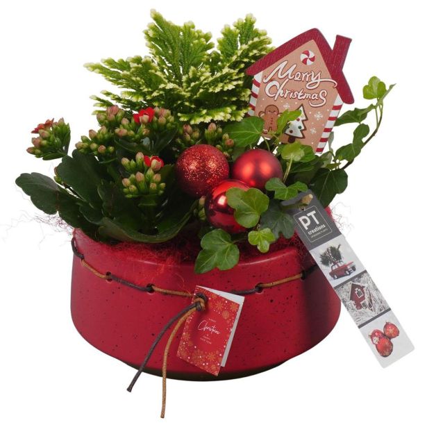 NASAD ZIMSKI NOTRANJI PTCHR7204 L17 CM