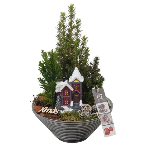 NASAD ZIMSKI ZUNANJI PTCWW6809 L19 CM