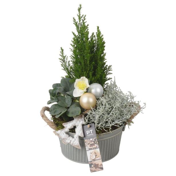 NASAD ZIMSKI ZUNANJI PTWO1942 L19 CM